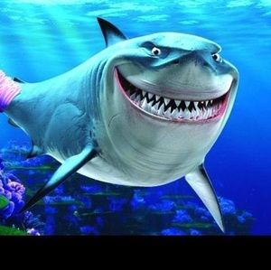 Meet your Posher, Bruce